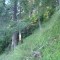 4_photo6.jpg