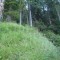 6_photo1.jpg