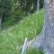 6_photo10.jpg