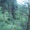 6_photo4.jpg