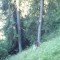 6_photo7.jpg