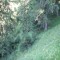 6_photo8.jpg