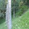 6_photo9.jpg