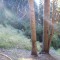 7_photo3.jpg