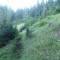 8_photo2.jpg