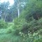 9_photo3.jpg