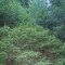 9_photo4.jpg