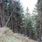 wf_tramblaiclisura_fst_1_nr_08.jpg
