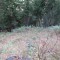 wf_tramblaiclisura_fst_2_nr_09.jpg