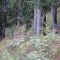 wf_tramblaiclisura_fst_2_nr_11a.jpg