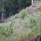 wf_tramblaiclisura_fst_3_nr_20a.jpg