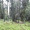 20200609_162606.jpg