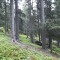 20200609_162612.jpg