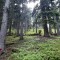 20200609_162618.jpg