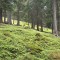 20200609_162736.jpg