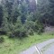 20200609_163100.jpg