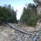 wf_suraua_sorts_fs-4.3_2020.jpg