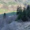 wf_suraua_sorts_fs-5.2_2020.jpg