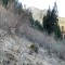 wf_suraua_sorts_fs-7.3_2020.jpg