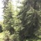 wf_ladir_las-vals_fs-1.2_2022.jpg