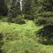 wf_ladir_las-vals_fs-2.1_2022.jpg