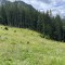 img_5765.jpg