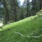 image045-1777458497.jpg