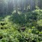 wf_grotzawald_21_3.jpg