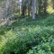 wf_grotzawald_21_7.jpg