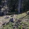 wf_grotzawald_18_7.jpg