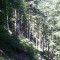 wf_poschiavo_i-cole-07.jpg