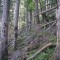 wf_poschiavo_i-cole-11.jpg