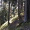 wf_poschiavo_torn-3.jpg