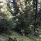 wf_poschiavo_torn-8.jpg