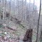 20210423_grunenwald_01a.jpg
