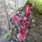 20210423_grunenwald_02x.jpg