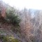 20210423_grunenwald_06a.jpg