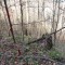 20210423_grunenwald_10e.jpg