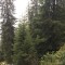 wf_ladir_las-vals_fs-1.2_2021.jpg