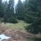 wf_ladir_las-vals_fs-2.1_2021.jpg