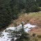 wf_ladir_las-vals_fs-2.2_2021.jpg