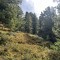 img_1957.jpeg