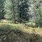 img_1959.jpeg