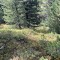 img_1960.jpeg