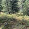img_1961.jpeg