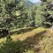 img_1964.jpeg