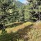 img_1966.jpeg