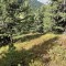 img_1967.jpeg