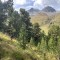 img_1976.jpeg