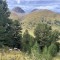 img_1977.jpeg